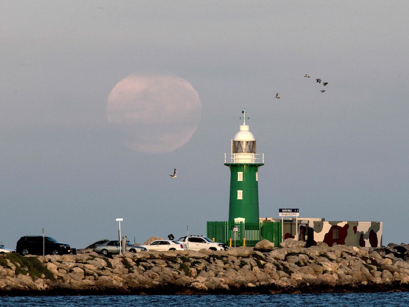 Vogels vliegen langs een vuurtoren in Fremantle, in het westen van Australië. Archiefbeeld.