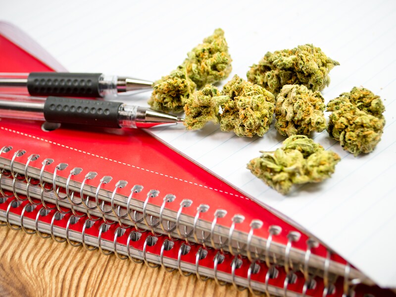 Canadese universiteit gaat specialisatie 'cannabis' aanbieden