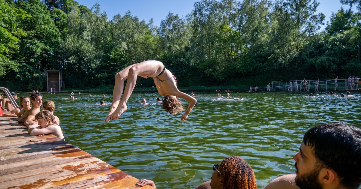 Zwemvijver Boekenberg breidt deze zomer de weekenduren uit