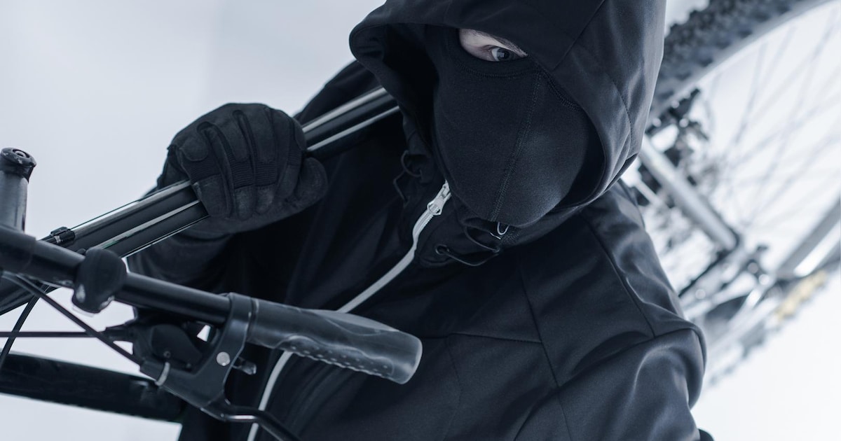 Dief steelt fiets uit garage