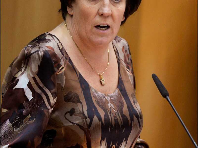 Vlaams minister van Armoedebestrijding Ingrid Lieten (sp.a).