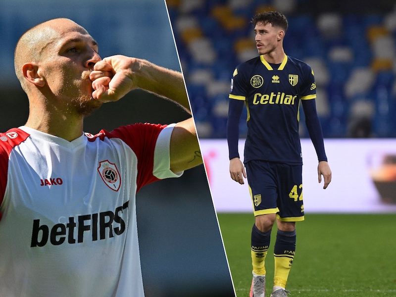 Antwerp schakelt versnelling hoger: Great Old wil oude bekende Michael Frey, versterkingen op komst en trainersknoop bijna doorgehakt