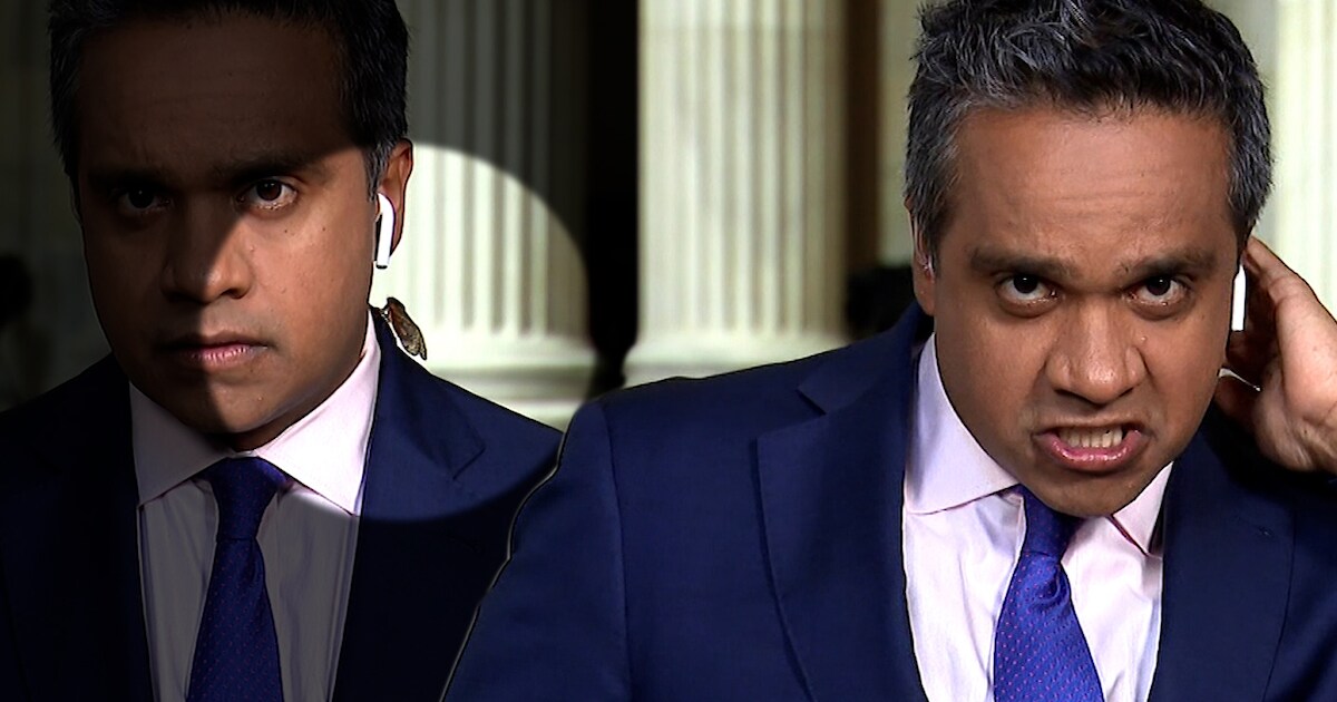 Groot insect kruipt op journalist tijdens liveverslag (en hij reageert ...