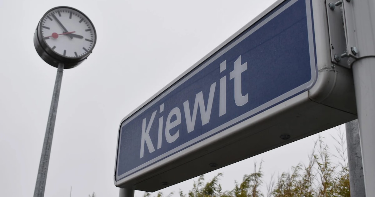 Station van Kiewit terug volledig toegankelijk: liften in gebruik na investering van 1,3 miljoen eur