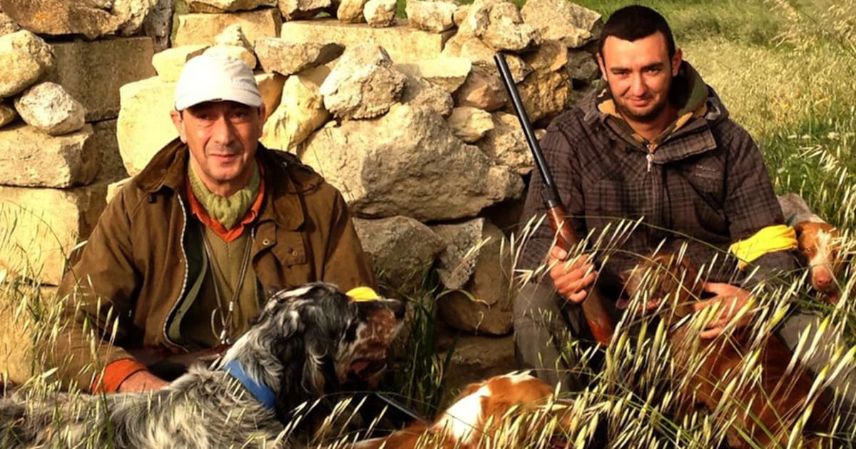 Malta stemt over lentejacht op trekvogels | Nieuws | HLN.be