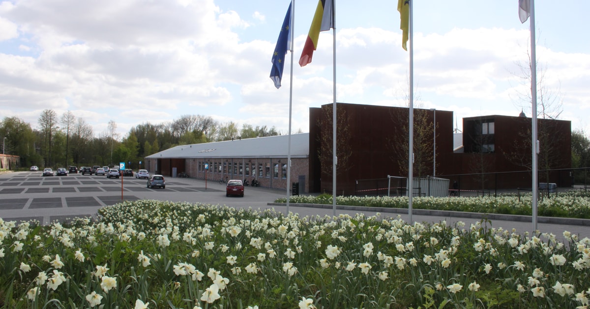 Familiefestival brengt gezinnen uit Hemiksem, Niel en Schelle samen voor een namiddag vol speelplezi