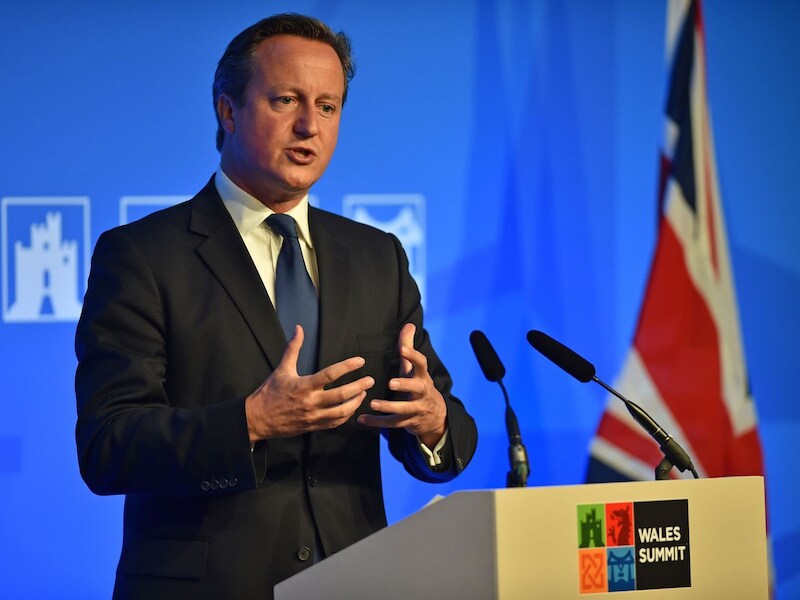 De Britse premier David Cameron.