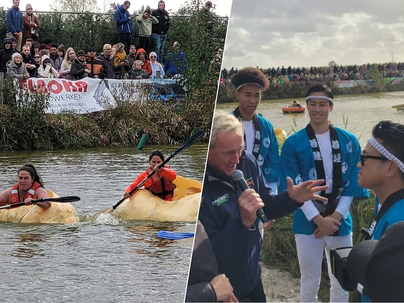 De Pompoenregatta 2026 bracht een bont gezelschap naar Lichtaart voor de ontknoping van de Pompoenmaand. Heel wat buitenlandse teams waagden hun kans, onder wie de populaire Japanse tv-crew van ‘Sekai no Hate Made Itte Q!’ (rechts).