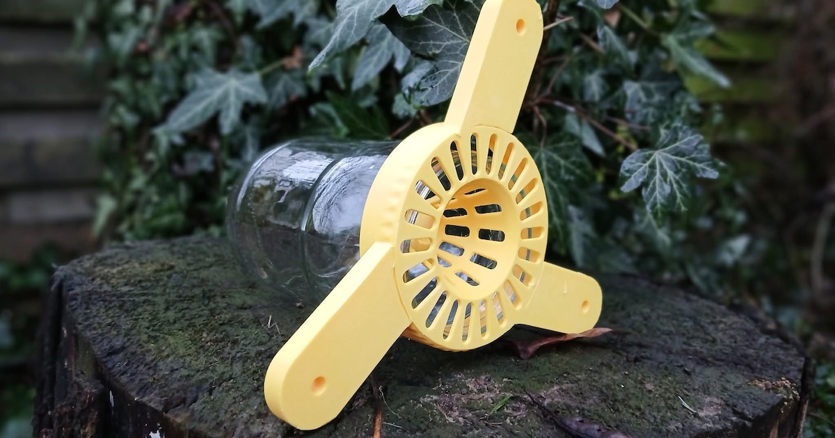 Inwoners maken massaal jacht op Aziatische hoornaar