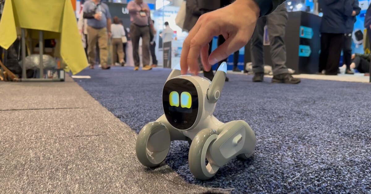 Eindelijk het jaar van de robot? Op techbeurs struikelen we er bijna ...