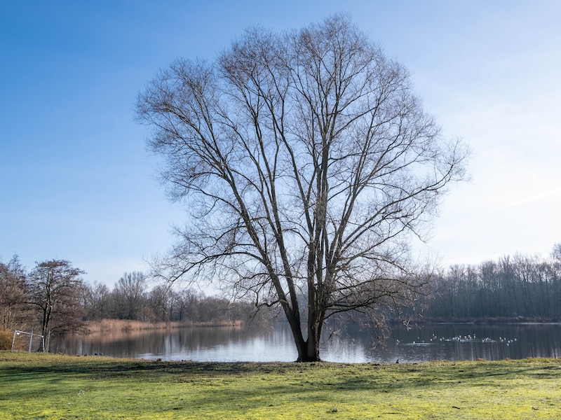 Het Breeven.