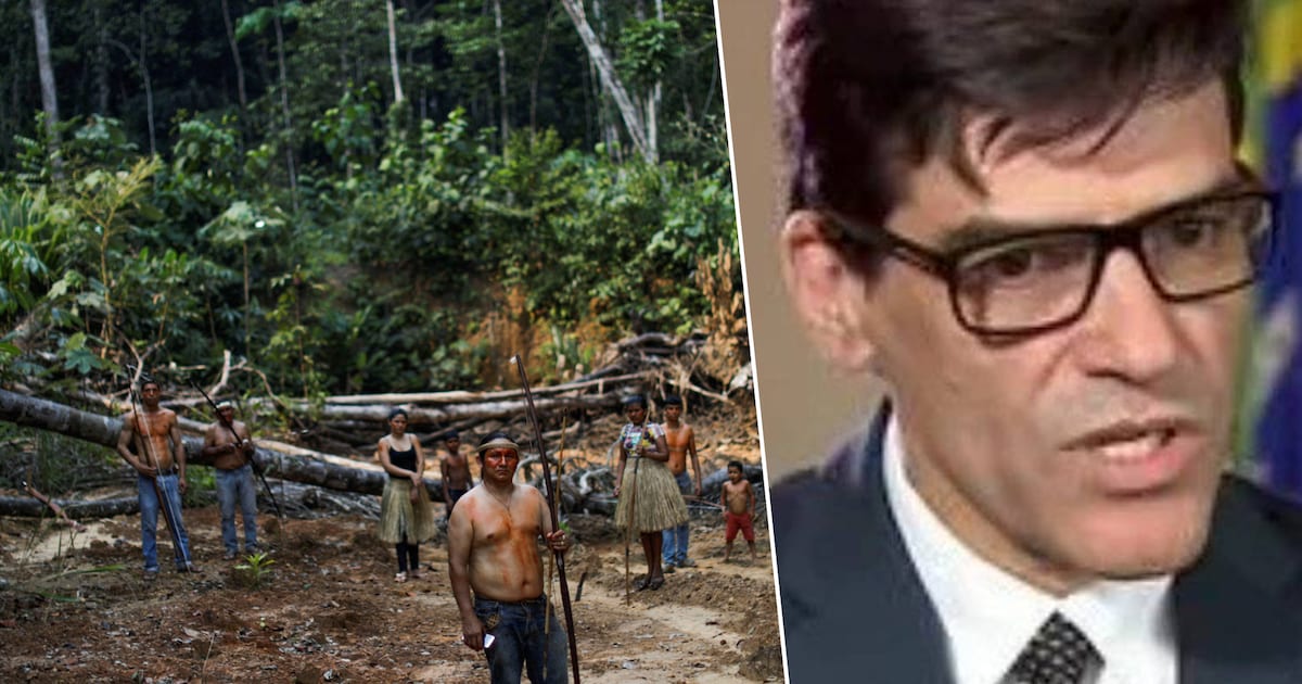 Braziliaans Amazonewoud dreigt te worden overgenomen door maffia ...
