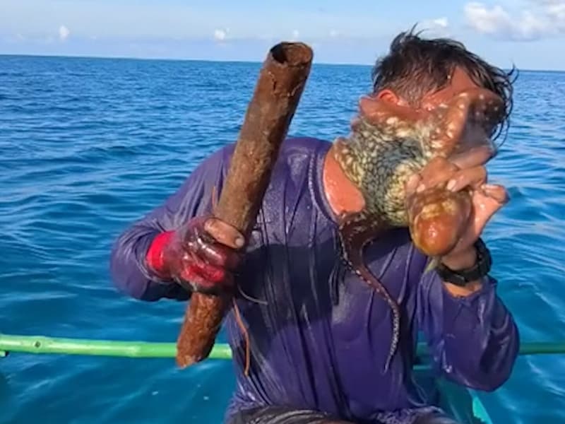 KIJK. Boze octopus is duidelijk niet blij dat hij uit het water wordt gehaald