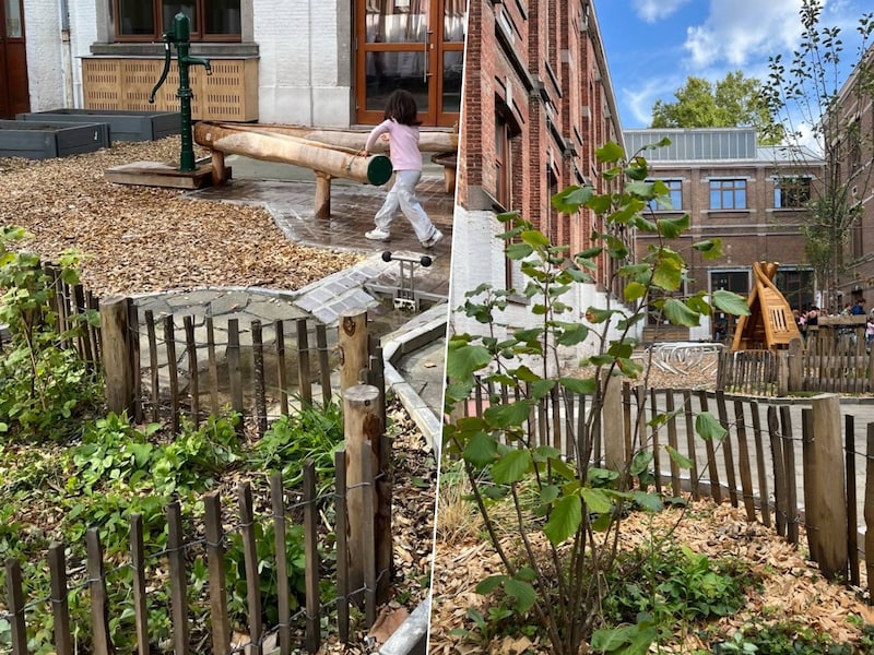 “Natuur en ruimte om te spelen mogen geen luxe zijn”: 15de Brusselse speelplaats krijgt groene make-over