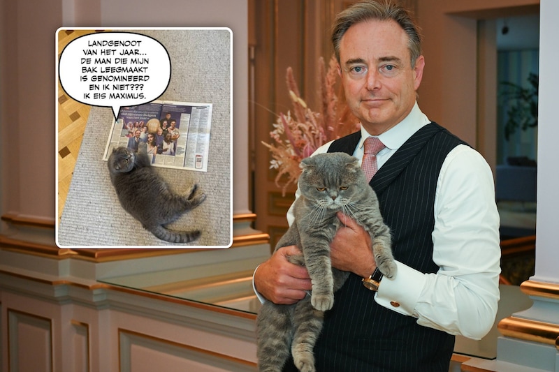 Wetstraatkat Maximus wil zélf 'Belg van het Jaar' van HLN worden: “Mijn  baasje Bart De Wever is genomineerd en ik niet?” | Nieuws | HLN.be