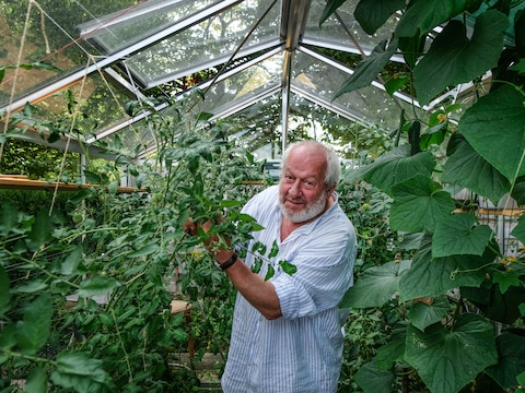 Jan in zijn groenselhof in Wevelgem, waar hij graag zijn tijd doorbrengt.