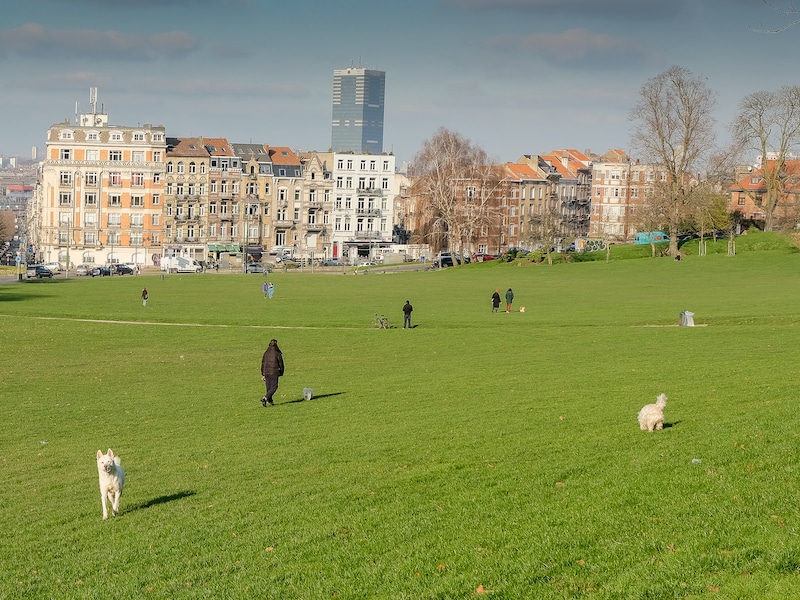 Park van Vorst