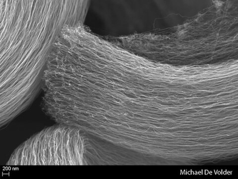 Een microscopisch beeld van een koolstof nanobuisje.