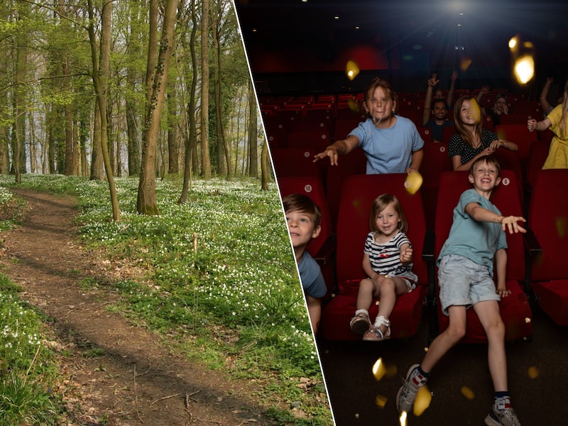 Van een detectivetocht in bos ‘t Ename tot een filmfestival in Zottegem: er valt heel wat te beleven tijdens de herfstvakantie.