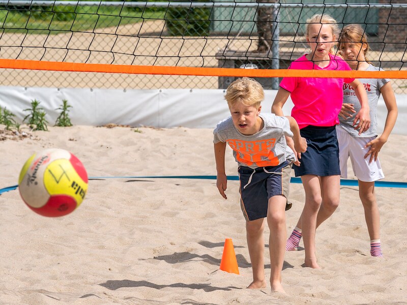 Sportcheques voor jongeren: “Tegemoetkoming van 20 euro”