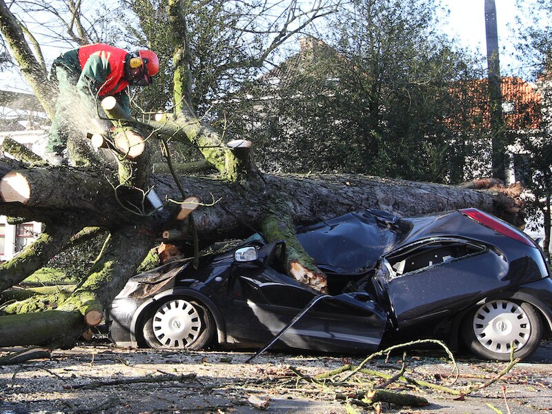Omgewaaide bomen zorgen voor heel wat ravage zoals hier in Gent.