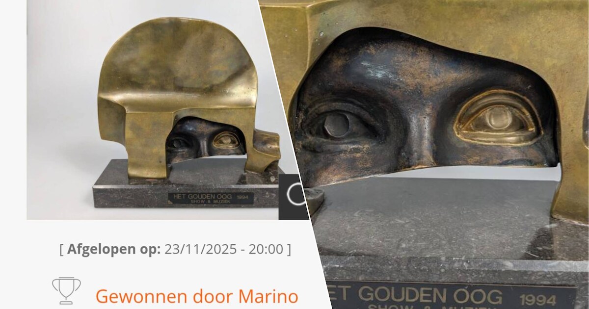 Veiling van Gouden Oog afgeklopt op 2.756,25 euro | Regio | HLN.be
