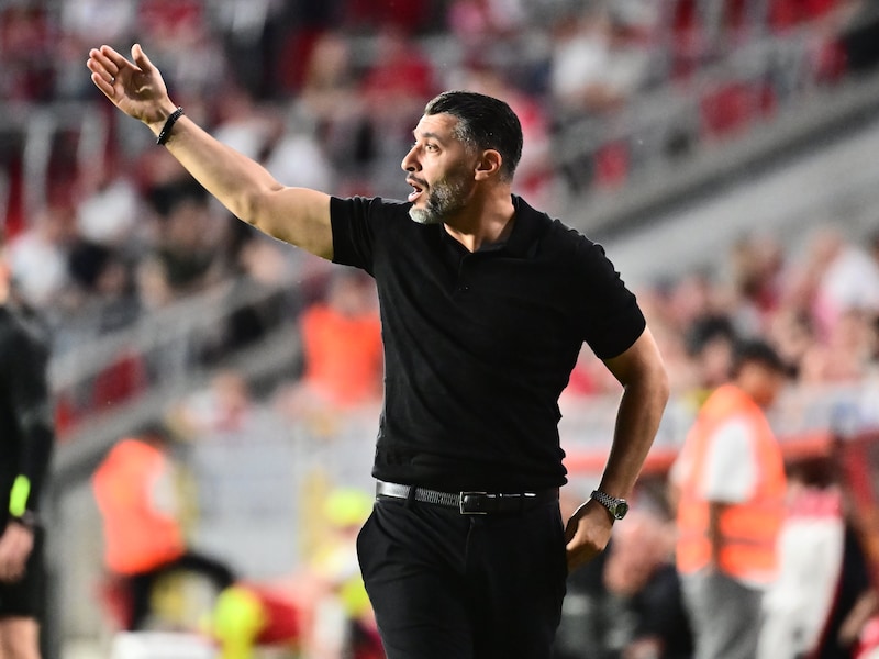 “Een volledig seizoen als trainer afwerken is tegenwoordig al een prestatie”: Westerlo-trainer Issame Charaï leidde Westerlo in eerste seizoen bijna naar Europa