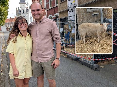 Fien en Ruben gaven elkaar het ja-woord en vonden een kinderboerderij voor hun deur.
