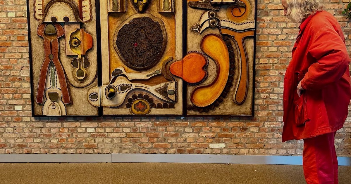 Opvallend kunstwerk siert congrescentrum De Pitte | Regio | HLN.be