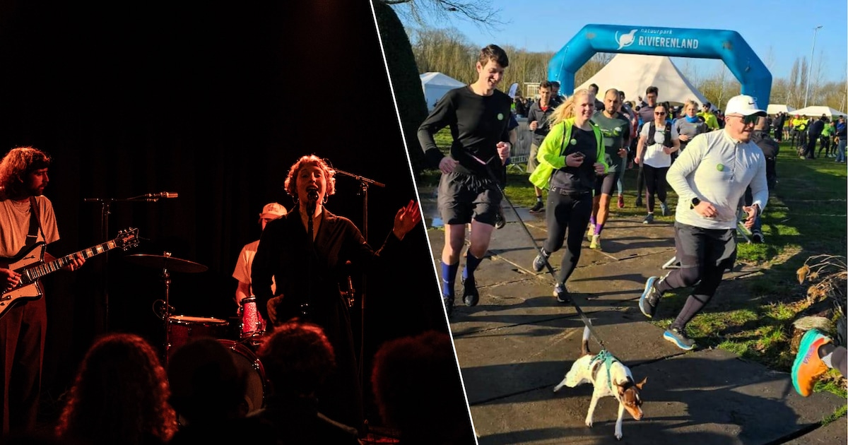 Wat te doen in de regio Mechelen dit weekend? Van bier proeven tot boeken verslinden en lopen voor d