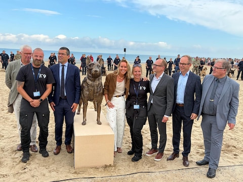 Het standbeeld werd onthuld door K9 Honor-meter Ellen Callebout, in het bijzijn van onder meer Gouverneur Carl Decaluwé (cd&v), burgemeester van Koksijde, Sander Loones, en Minister van Dierenwelzijn, Ben Weyts (beiden N-VA). 