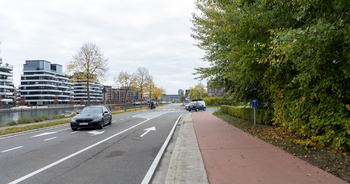 Inbrekers stelen voedingswaren in Hasselt
