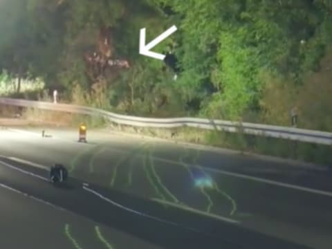 De sportwagen ging tegen de vangrail, brak in stukken en vloog de bomen in.