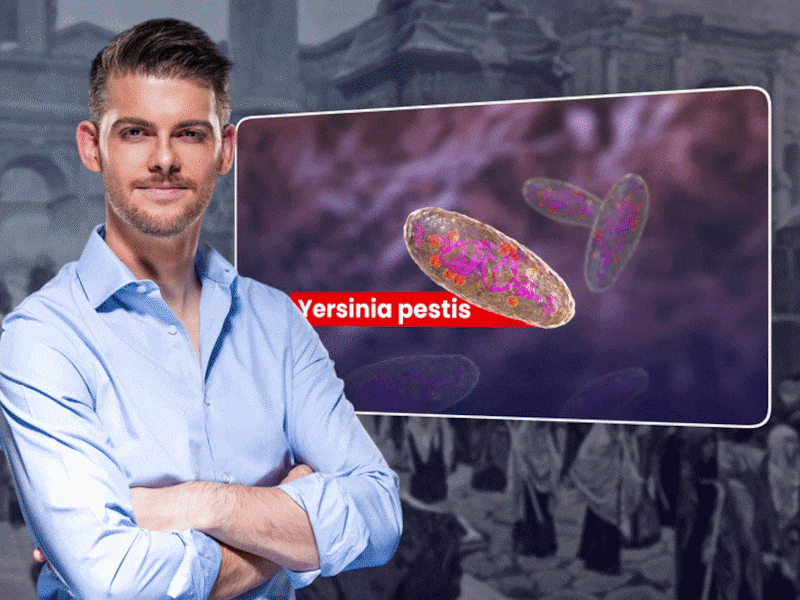 KIJK. Wat is de pest en hoe gevaarlijk is de ziekte?