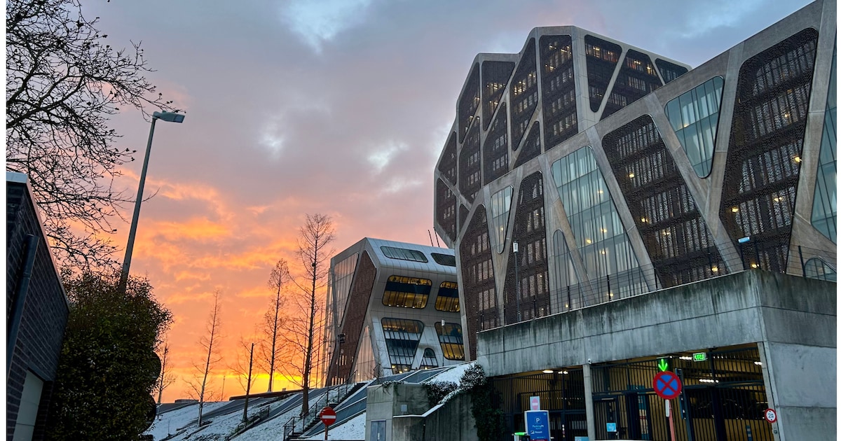 “Ik ben dom en gevaarlijk”: man rijdt 106 km/u waar maar 50 is toegestaan