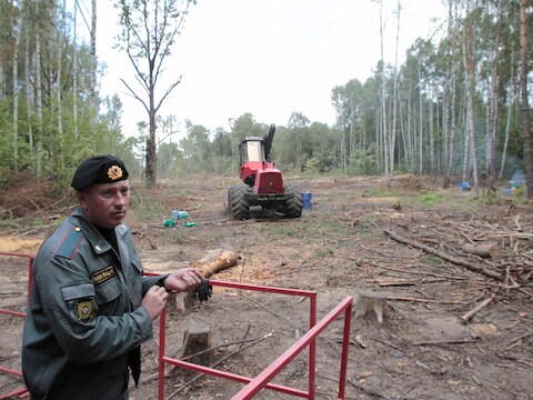 Een politieman kijkt toe terwijl een bos - hier legaal - geveld wordt in Rusland.