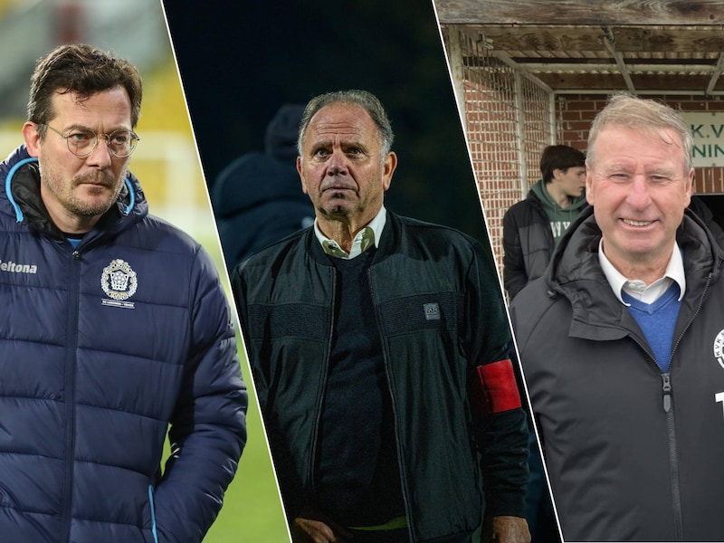 DOORGELICHT. Wie was dé ploeg van de heenronde? De revelatie? De teleurstelling? Onze experts analyseren zes reeksen