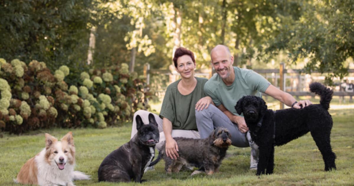Anne-Marie en Heikki zetten schouders onder ‘Barn Dogs’: “Vrijwillige opvang voor honden in moeilijk