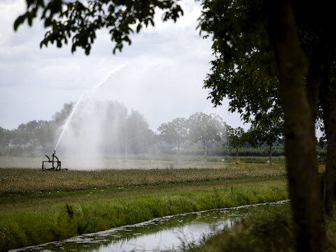 Beeld ter illustratie 