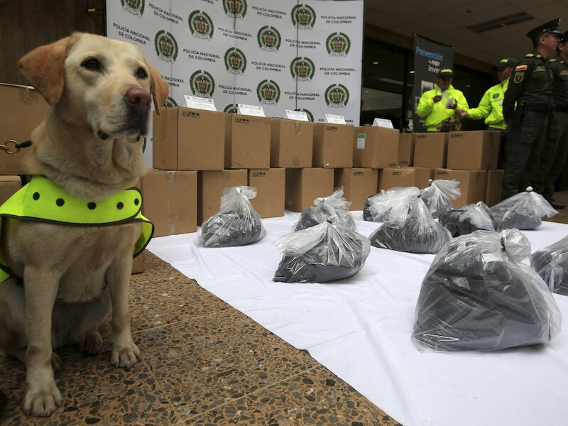Drugshond Mona bij een deel van de inbeslaggenomen cocaïne in de Colombiaanse stad Bogotá.