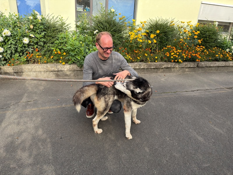 Dierenasiel Sint-Hubertus in Aalst, honden asielhond, hondenasiel, asiel, hond Ben Weyts