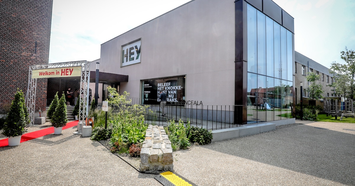 Deze Knokke-Heistenaars maken kans op een plekje op de Wall of Merit in ...
