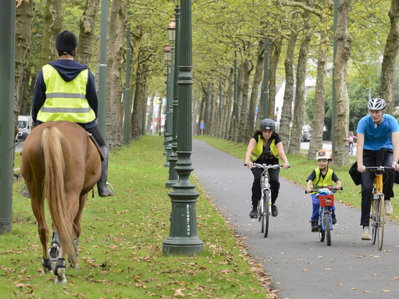 Autoloze zondag in Brussel