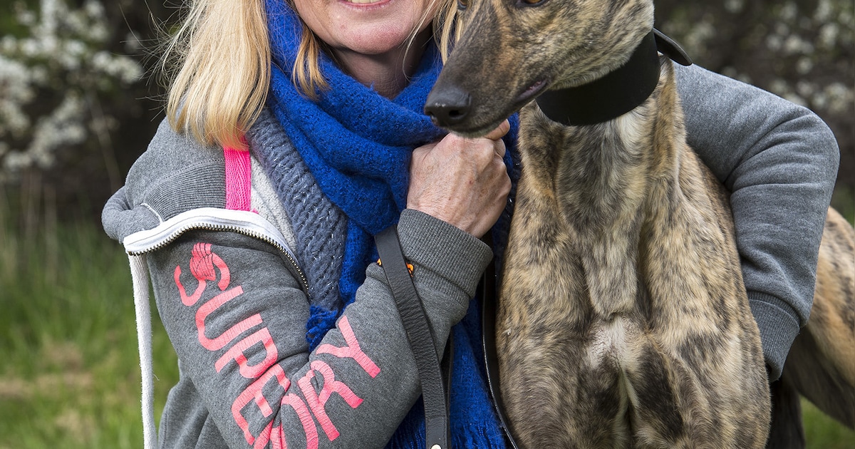 Linda De Ridder redt windhonden in Engeland | Showbizz | HLN.be
