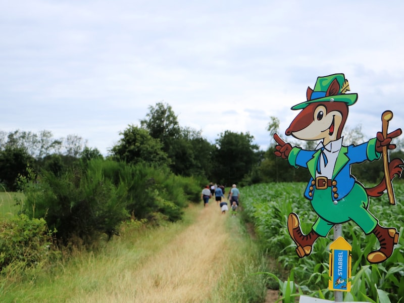 Gratis Stabbel-wandeling in Hulshout: los raadsels op en ontdek welke groenten en fruit in de moestuin staan