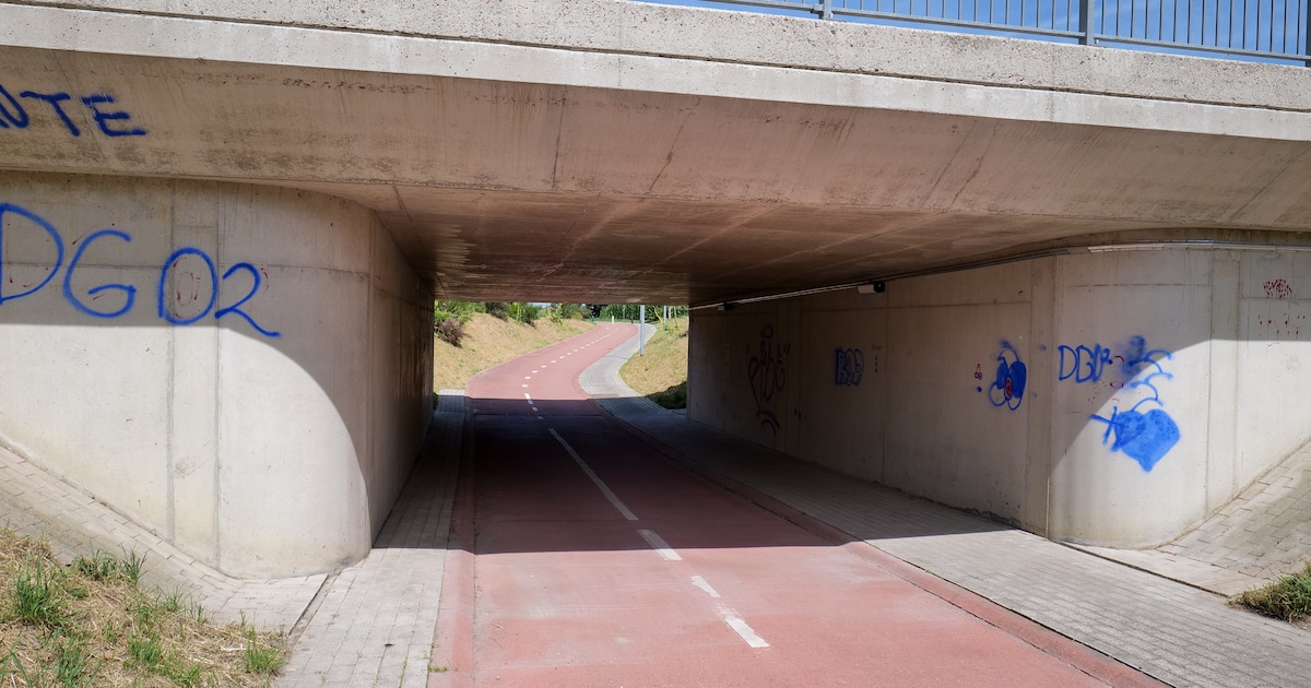 Fietstunnel in Meeuwen krijgt kleurrijke muurschildering