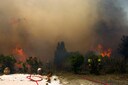 Franse brandweermannen strijden tegen een bosbrand in het Zuid-Franse Cerbère, in het departement  Pyrénées-Orientales. Beeld van 16 april.