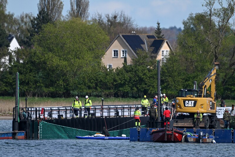 Retter auf dem Schiff, wo Timmy jetzt in einem riesigen Wassertank sitzt.