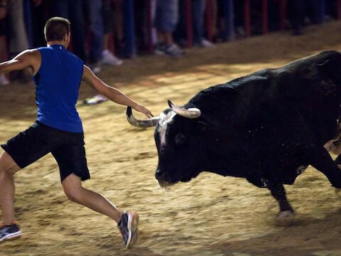 De Spaanse stier 'Ratón' in betere tijden