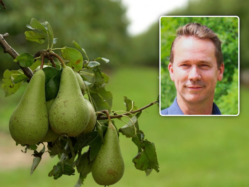 Achiefbeeld. Landbouw in Limburg (17/08/15). Inzet: landbouwminister Jo Brouns (CD&V)